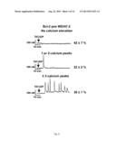 INHIBITORS OF BCL-2 diagram and image