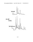 INHIBITORS OF BCL-2 diagram and image