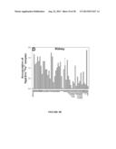 MUTANT NGAL PROTEINS AND USES THEREOF diagram and image