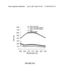 MUTANT NGAL PROTEINS AND USES THEREOF diagram and image