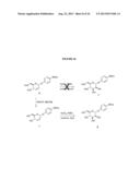 GLYCOSYLATED ACETAMINOPHEN PRO-DRUG diagram and image