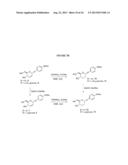 GLYCOSYLATED ACETAMINOPHEN PRO-DRUG diagram and image