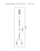 CANCER PREVENTION AND TREATMENT METHODS BASED ON DIETARY POLYAMINE CONTENT diagram and image