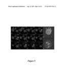 MULTIFUNCTIONAL NANOCONJUGATES AND USES THEREOF diagram and image