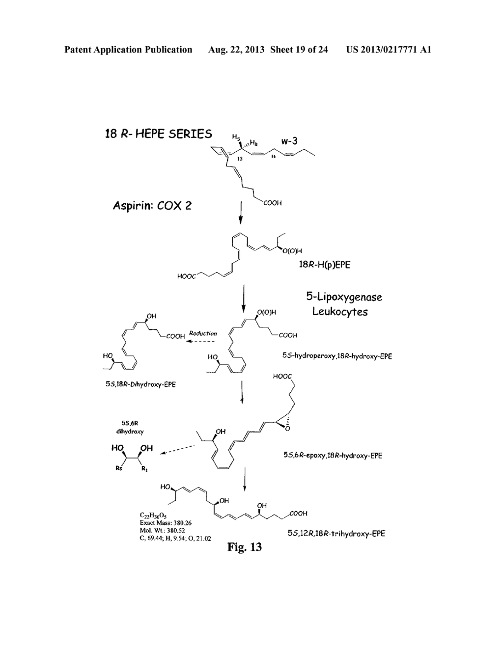 RESOLVINS: BIOEMPLATES FOR NOVEL THERAPEUTIC INTERVENTIONS - diagram, schematic, and image 20