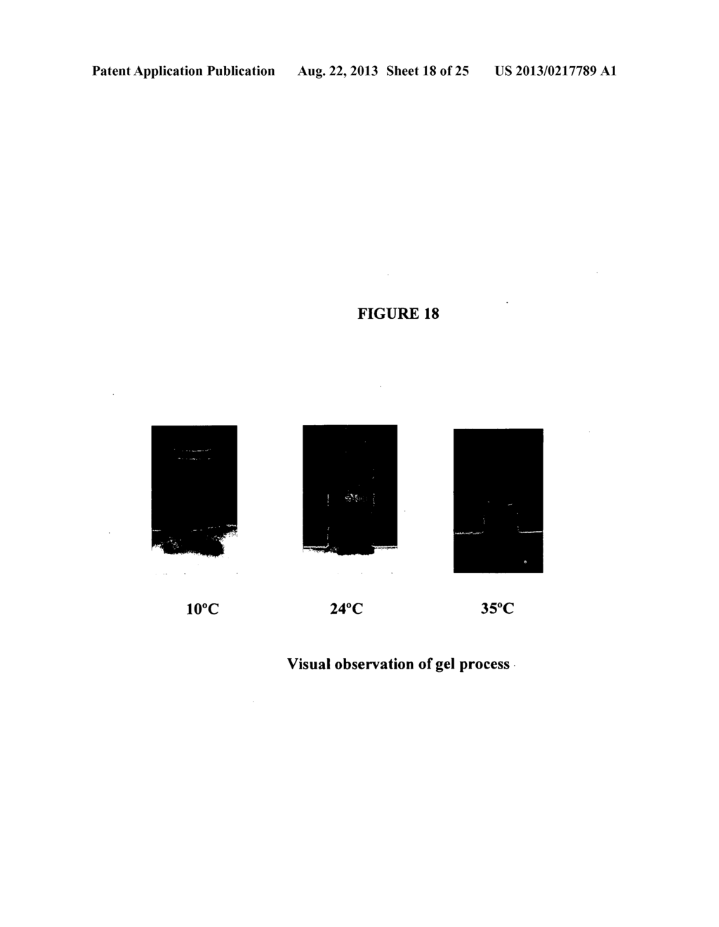 BIODEGRADABLE LIQUOGEL AND PH SENSITIVE NANOCARRIERS - diagram, schematic, and image 19