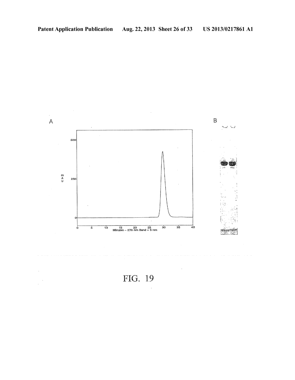 METHODS FOR EXPRESSION AND PURIFICATION OF IMMUNOTOXINS - diagram, schematic, and image 27