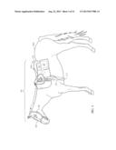 EQUINE WIRELESS PHYSIOLOGICAL MONITORING SYSTEM diagram and image