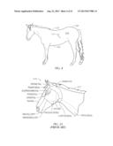 EQUINE WIRELESS PHYSIOLOGICAL MONITORING SYSTEM diagram and image