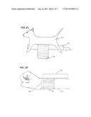 System and Method for Assessing Breathing diagram and image