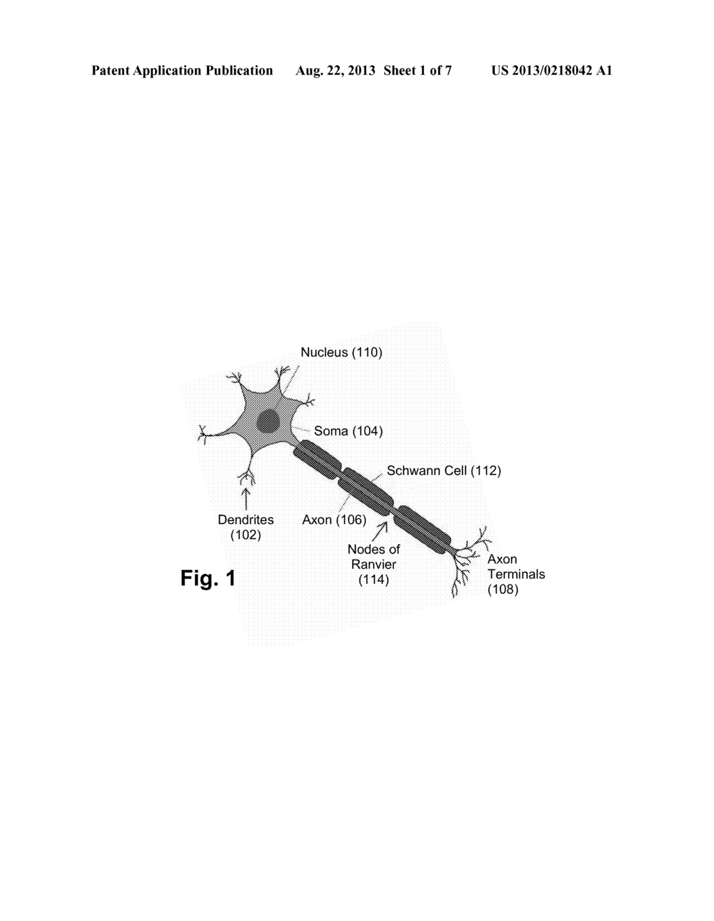 SYSTEMS AND/OR METHODS FOR STIMULATING THE BRAIN TO PROMOTE LEARNING     AND/OR TO PROVIDE THERAPEUTIC TREATMENTS THERETO - diagram, schematic, and image 02