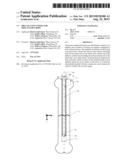 Drug Eluting Insert for Implantable Body diagram and image