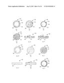 Drug Eluting Insert for Implantable Body diagram and image