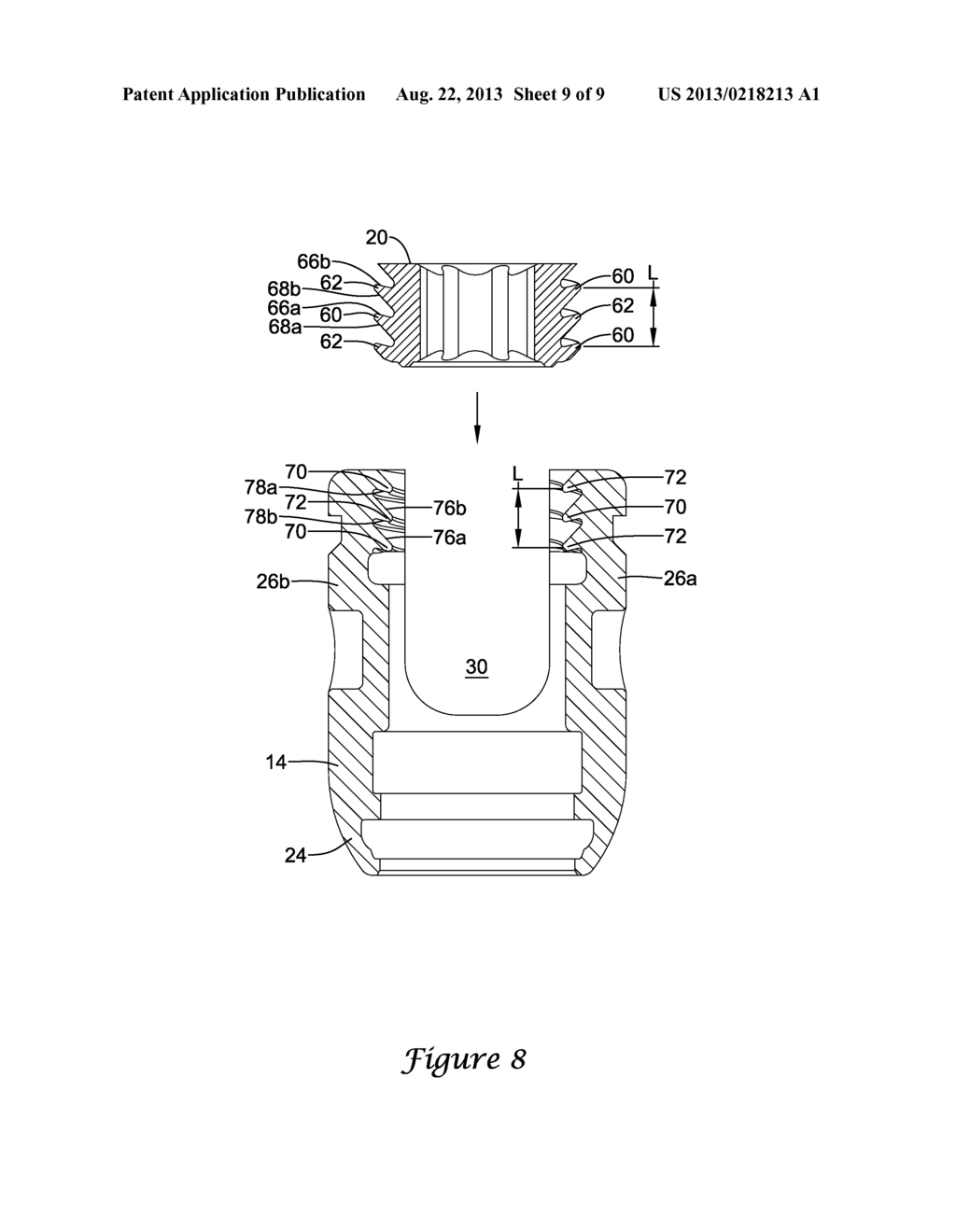 BONE SCREW INCLUDING A DUAL THREAD CLOSURE MEMBER - diagram, schematic, and image 10