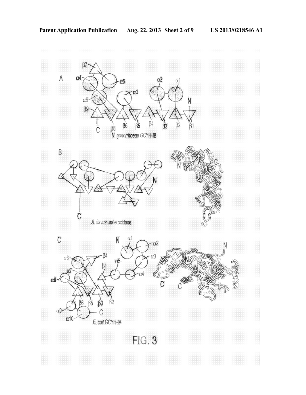 NOVEL GTP CYCLOHYDROLASE TYPE IB - diagram, schematic, and image 03