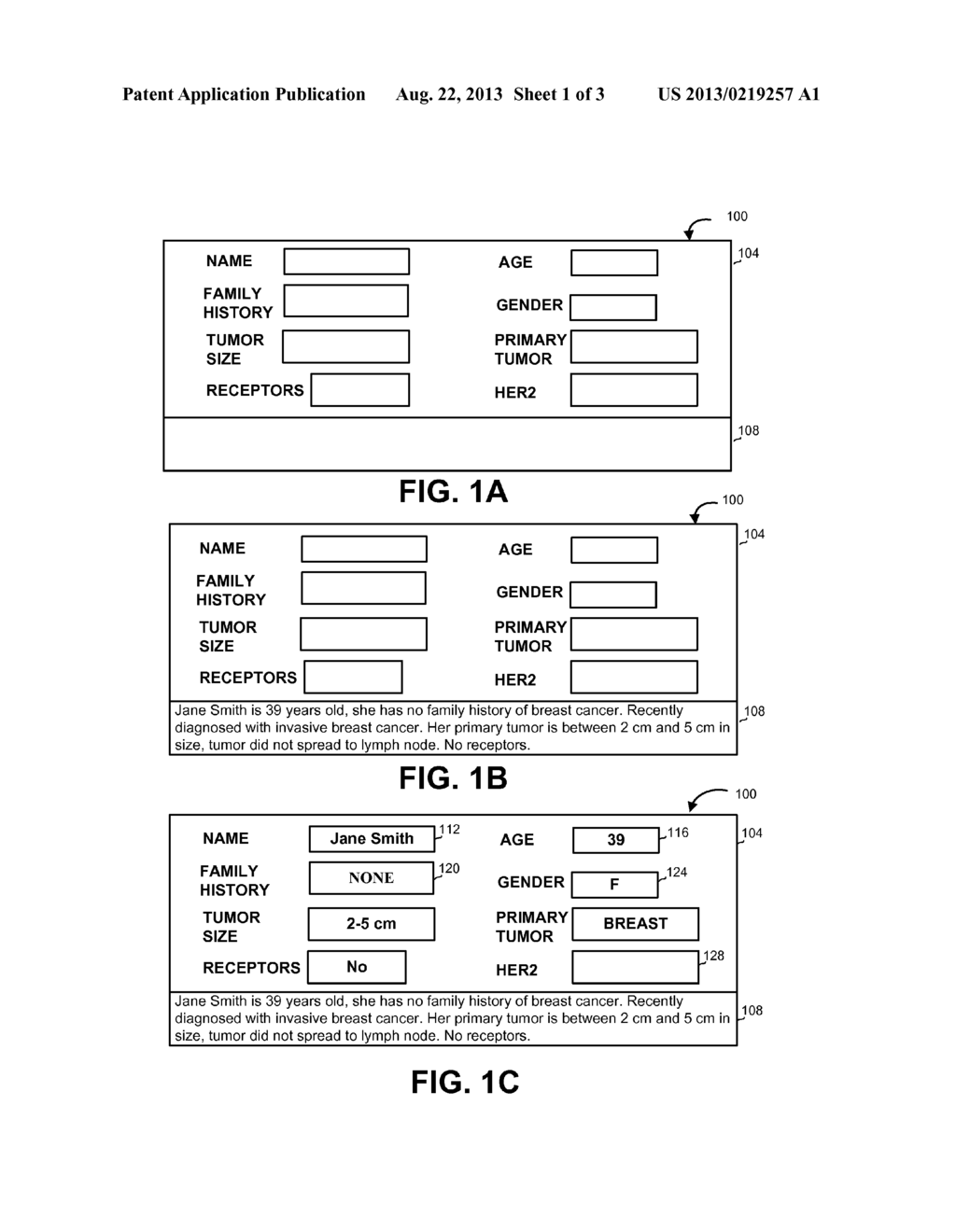 TEXTUAL AND FORMATTED DATA PRESENTATION - diagram, schematic, and image 02