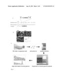 PLA2G16 AS A TARGET FOR ANTIVIRAL COMPOUNDS diagram and image