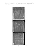 ENHANCEMENT OF PLANT YIELD VIGOR AND STRESS TOLERANCE diagram and image