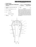 Offensive and defensive protection device diagram and image