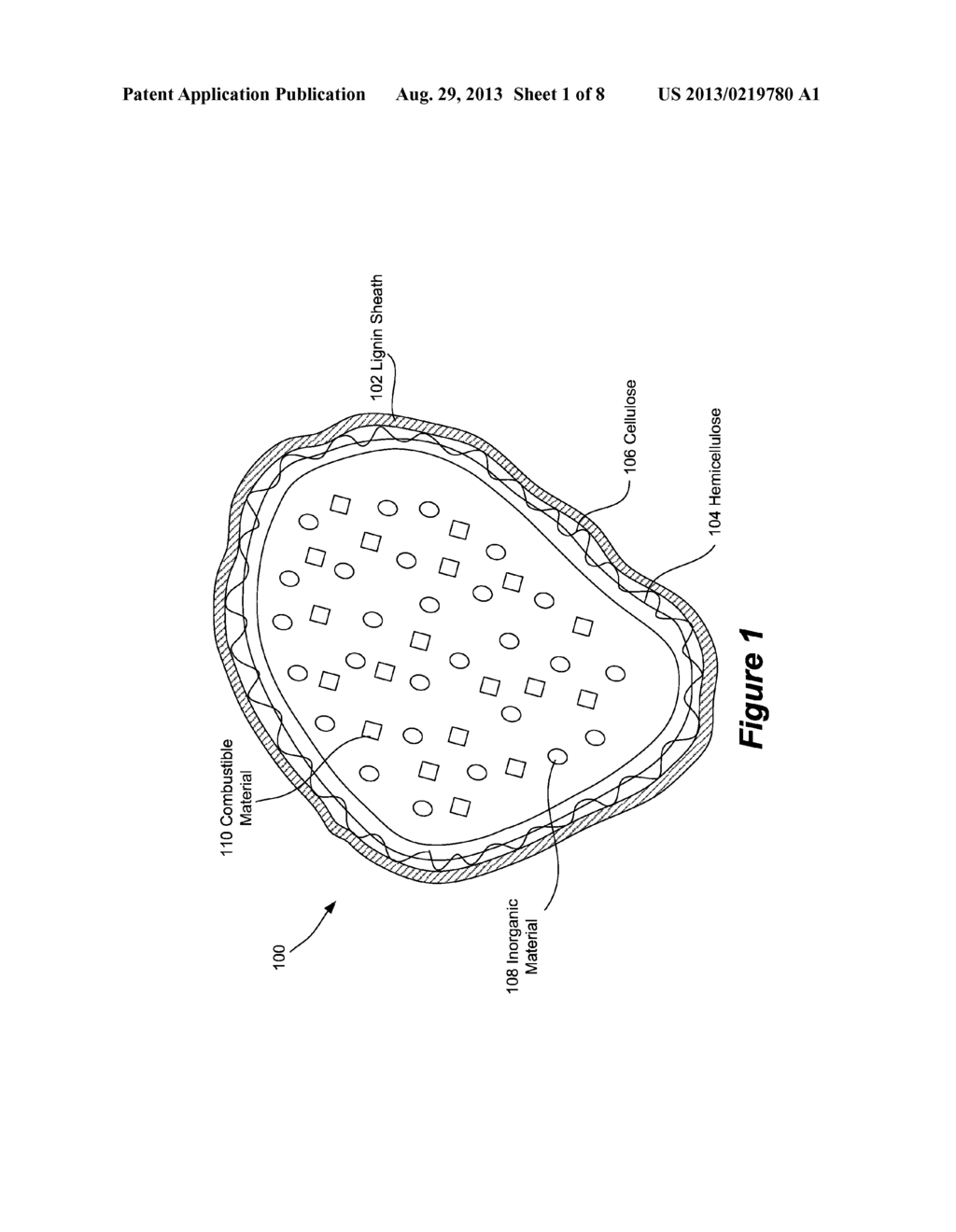 SYSTEMS, METHODS AND COMPOSITIONS RELATING TO COMBUSTIBLE BIOMATERIALS - diagram, schematic, and image 02