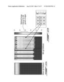 SUN TRACKING LIGHT DISTRIBUTOR SYSTEM diagram and image