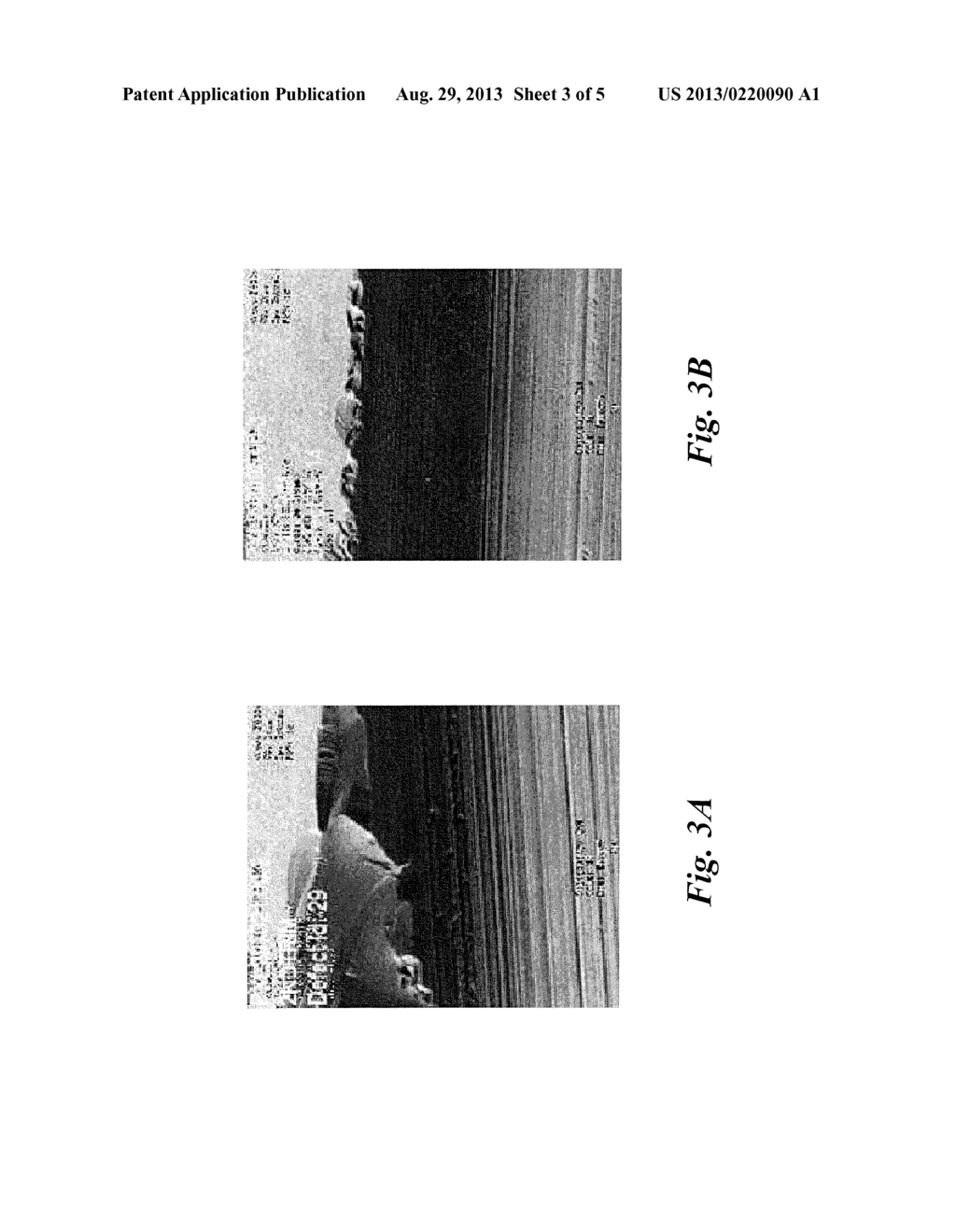 WAFER EDGE TRIM BLADE WITH SLOTS - diagram, schematic, and image 04