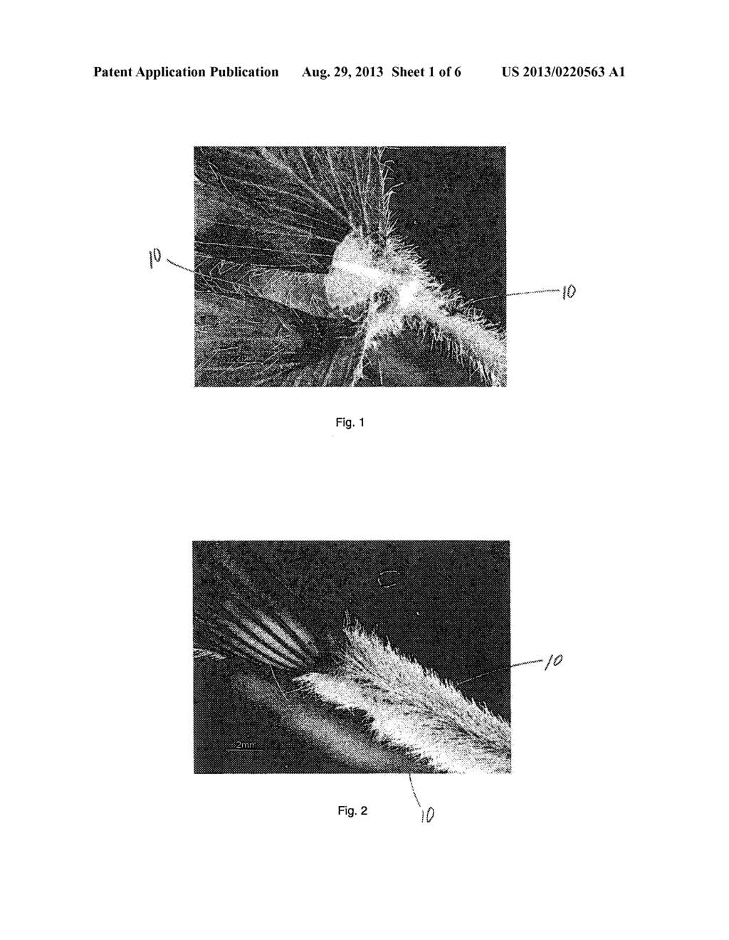 SOFT AND STRONG FIBROUS STRUCTURES AND METHODS FOR MAKING SAME - diagram, schematic, and image 02