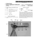 TROLLEY BRAKE AND METHOD OF USING SAME diagram and image