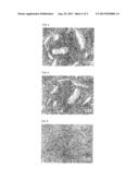 Ferromagnetic Material Sputtering Target diagram and image