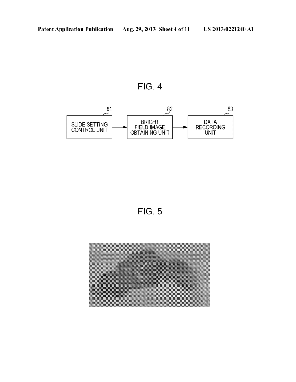 FLUORESCENCE IMAGE PRODUCING METHOD, FLUORESCENCE IMAGE PRODUCING     APPARATUS, AND FLUORESCENCE IMAGE PRODUCING PROGRAM - diagram, schematic, and image 05