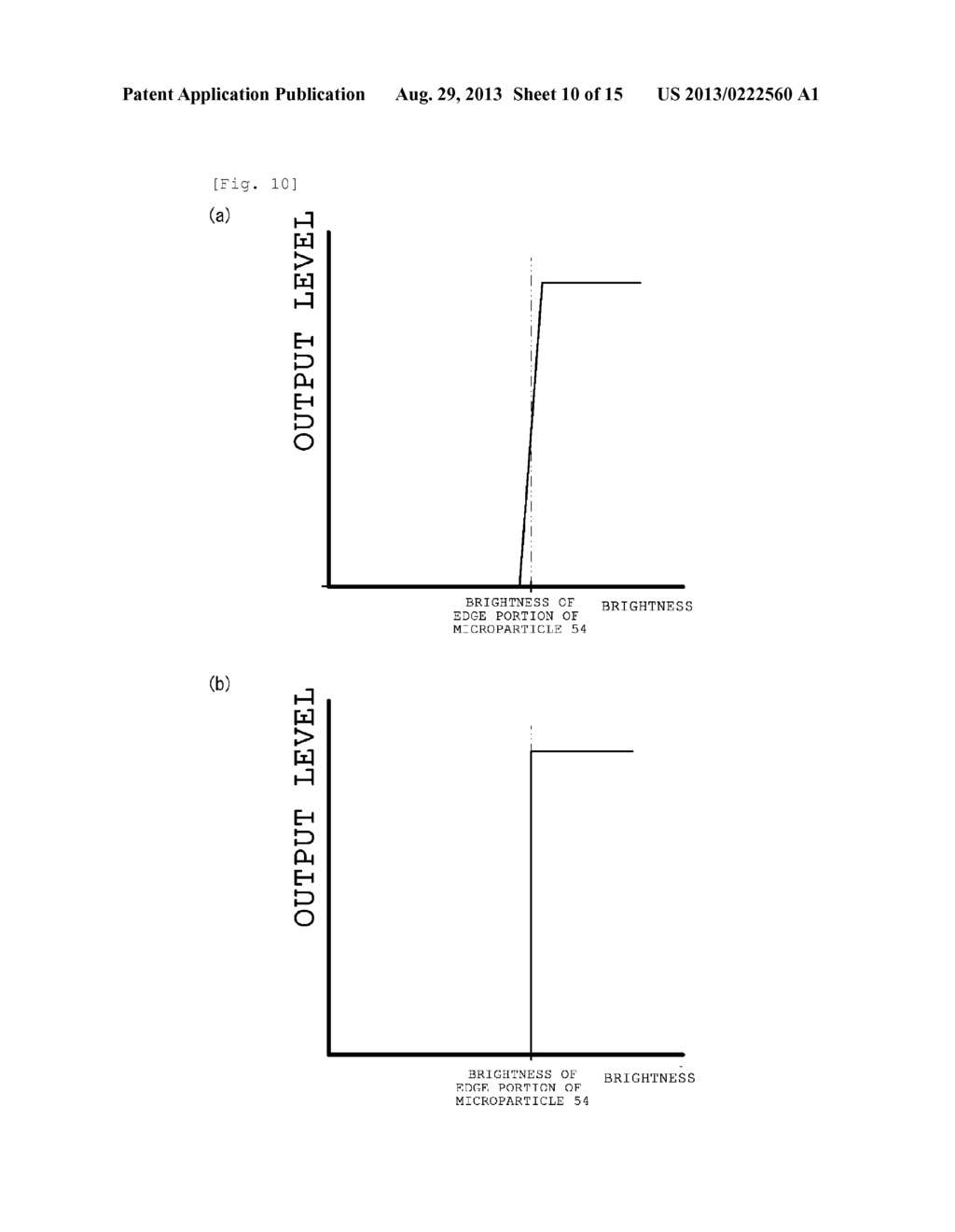 IMAGING DEVICE, IMAGE PROCESSING METHOD FOR IMAGE CAPTURED BY IMAGING     DEVICE, AND IMAGING SYSTEM - diagram, schematic, and image 11