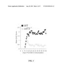 USE OF ADENOSINE RECEPTOR SIGNALING TO MODULATE PERMEABILITY OF     BLOOD-BRAIN BARRIER diagram and image