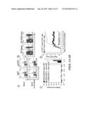 USE OF ADENOSINE RECEPTOR SIGNALING TO MODULATE PERMEABILITY OF     BLOOD-BRAIN BARRIER diagram and image