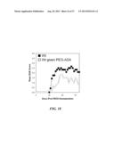 USE OF ADENOSINE RECEPTOR SIGNALING TO MODULATE PERMEABILITY OF     BLOOD-BRAIN BARRIER diagram and image