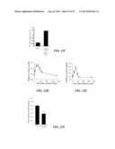 USE OF ADENOSINE RECEPTOR SIGNALING TO MODULATE PERMEABILITY OF     BLOOD-BRAIN BARRIER diagram and image