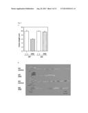 Inhibition Of CD69 For Treatment Of Inflammatory Conditions diagram and image