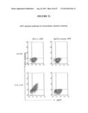 COMPOSITIONS AND METHODS FOR THE TREATMENT OF DISEASES AND DISORDERS     ASSOCIATED WITH CYTOKINE SIGNALING diagram and image