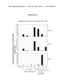 COMPOSITIONS AND METHODS FOR THE TREATMENT OF DISEASES AND DISORDERS     ASSOCIATED WITH CYTOKINE SIGNALING diagram and image