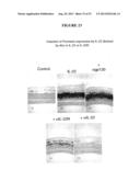 COMPOSITIONS AND METHODS FOR THE TREATMENT OF DISEASES AND DISORDERS     ASSOCIATED WITH CYTOKINE SIGNALING diagram and image