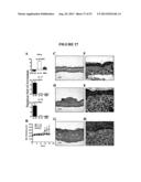 COMPOSITIONS AND METHODS FOR THE TREATMENT OF DISEASES AND DISORDERS     ASSOCIATED WITH CYTOKINE SIGNALING diagram and image