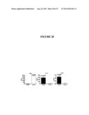 COMPOSITIONS AND METHODS FOR THE TREATMENT OF DISEASES AND DISORDERS     ASSOCIATED WITH CYTOKINE SIGNALING diagram and image