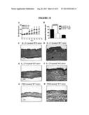 COMPOSITIONS AND METHODS FOR THE TREATMENT OF DISEASES AND DISORDERS     ASSOCIATED WITH CYTOKINE SIGNALING diagram and image