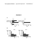 COMPOSITIONS AND METHODS FOR THE TREATMENT OF DISEASES AND DISORDERS     ASSOCIATED WITH CYTOKINE SIGNALING diagram and image