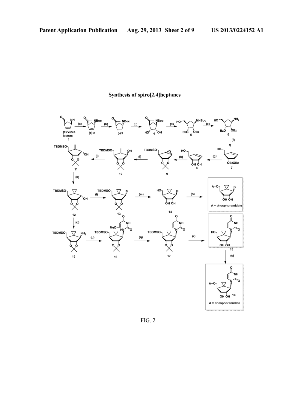 Spiro[2.4]heptanes for Treatment of Flaviviridae Infections - diagram, schematic, and image 03