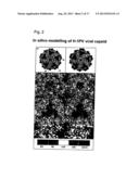 RETARGETING OF RAT PARVOVIRUS H-1PV TO CANCER CELLS THROUGH GENETIC     ENGINEERING OF ITS CAPSID diagram and image