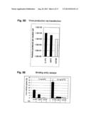 RETARGETING OF RAT PARVOVIRUS H-1PV TO CANCER CELLS THROUGH GENETIC     ENGINEERING OF ITS CAPSID diagram and image