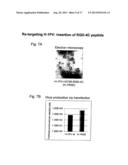 RETARGETING OF RAT PARVOVIRUS H-1PV TO CANCER CELLS THROUGH GENETIC     ENGINEERING OF ITS CAPSID diagram and image