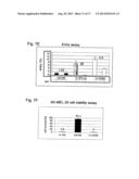 RETARGETING OF RAT PARVOVIRUS H-1PV TO CANCER CELLS THROUGH GENETIC     ENGINEERING OF ITS CAPSID diagram and image