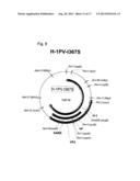 RETARGETING OF RAT PARVOVIRUS H-1PV TO CANCER CELLS THROUGH GENETIC     ENGINEERING OF ITS CAPSID diagram and image