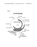 RETARGETING OF RAT PARVOVIRUS H-1PV TO CANCER CELLS THROUGH GENETIC     ENGINEERING OF ITS CAPSID diagram and image